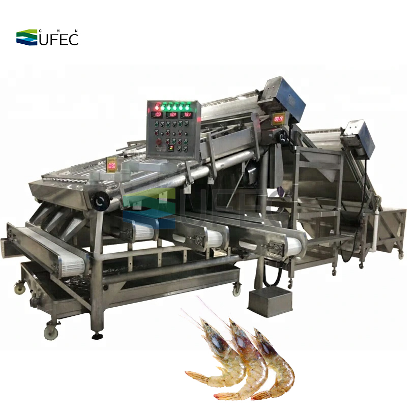 Máquina clasificadora de camarones de gran capacidad Máquina clasificadora de camarones de alta precisión para procesamiento de mariscos